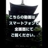話題の縦長動画に未来はあるのか？